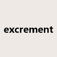 excrement是什么意思