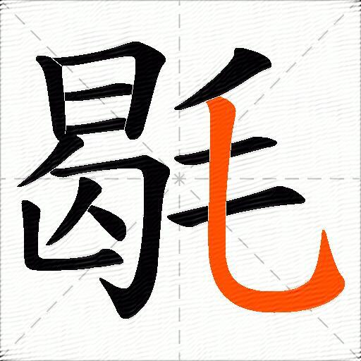 毼