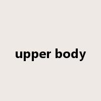 upper body是什么意思