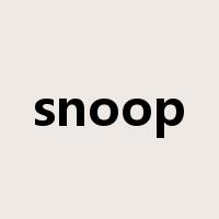 snoop是什么意思