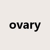 ovary是什么意思