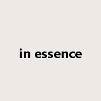 in essence是什么意思