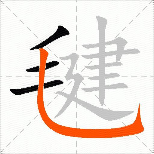 毽
