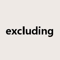 excluding是什么意思