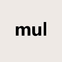 mul是什么意思