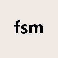 fsm是什么意思