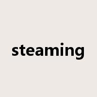 steaming是什么意思