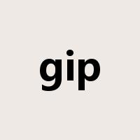 gip是什么意思