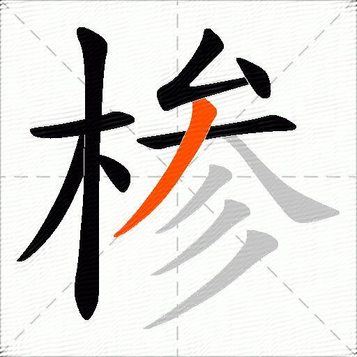 椮