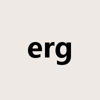 erg是什么意思