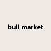 bull market是什么意思