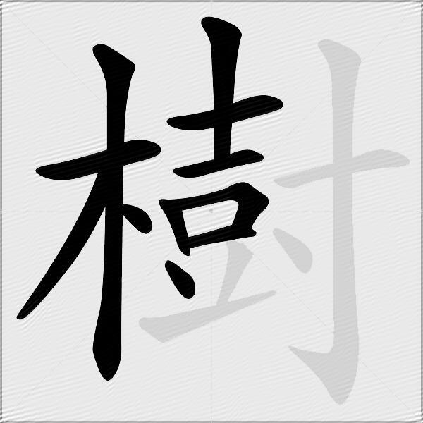樹