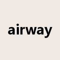 airway是什么意思