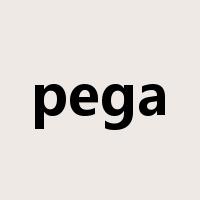 pega是什么意思