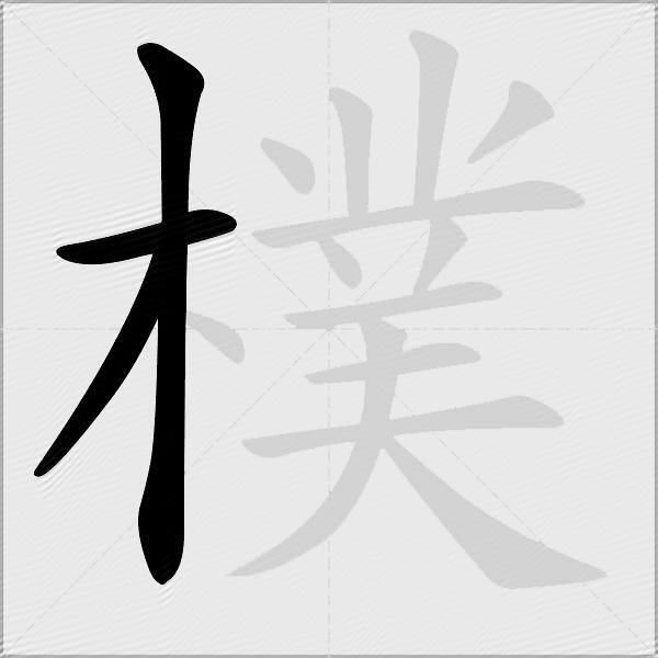 樸