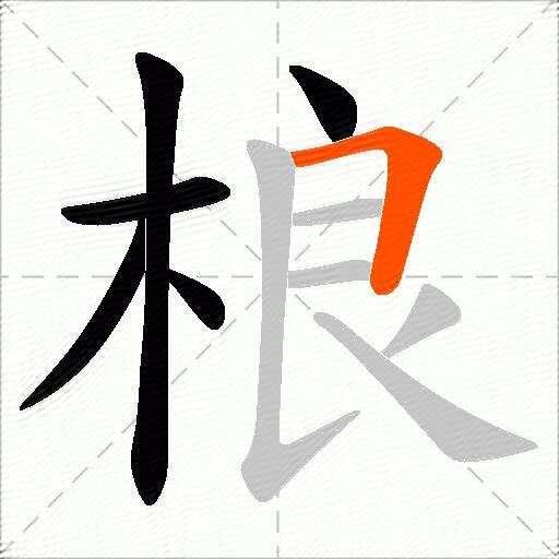 桹