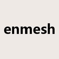 enmesh是什么意思