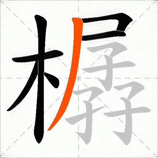 樼