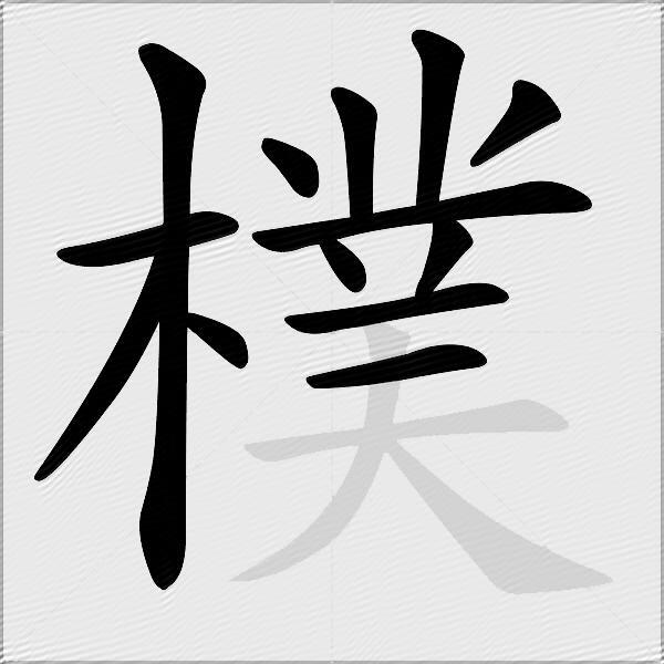 樸