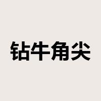 钻牛角尖是什么意思