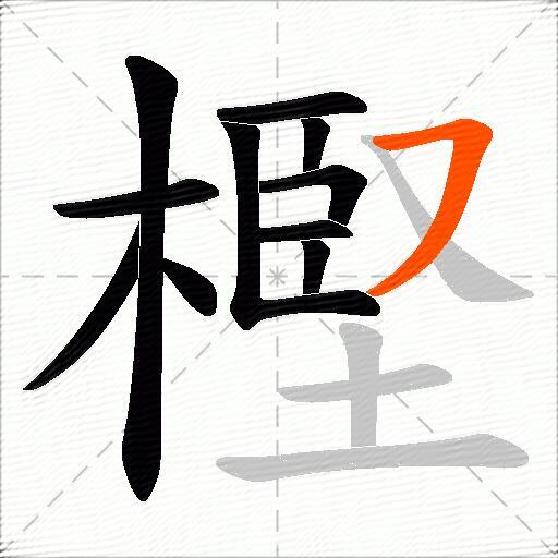 樫