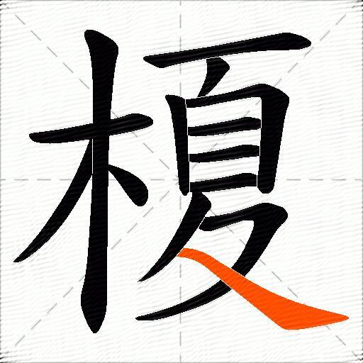 榎