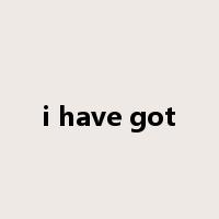 i have got是什么意思