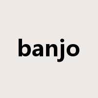 banjo是什么意思