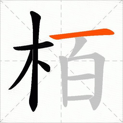 栢