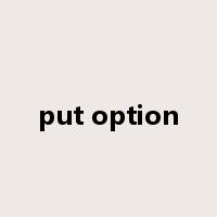 put option是什么意思