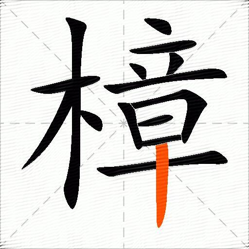 樟
