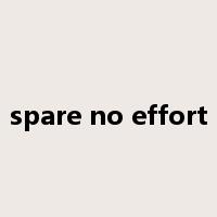 spare no effort是什么意思