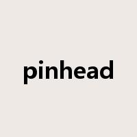 pinhead是什么意思
