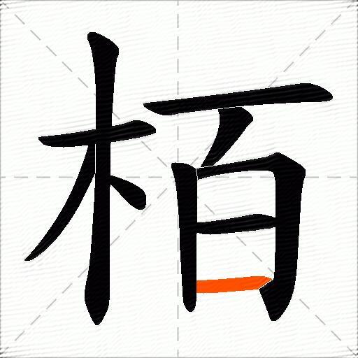 栢