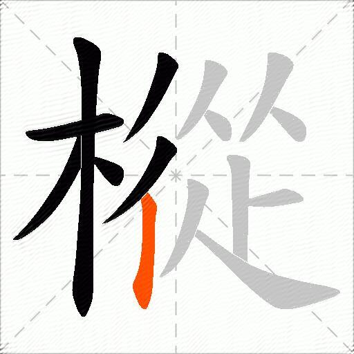 樅
