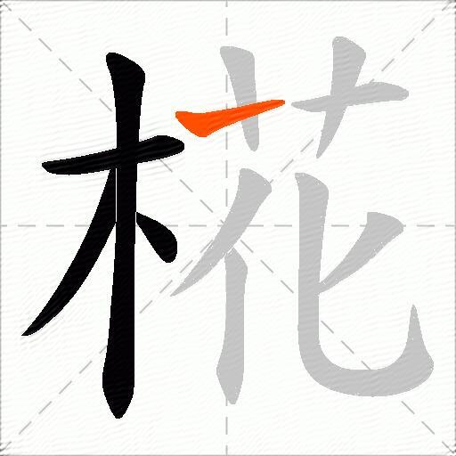椛