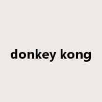 donkey kong是什么意思