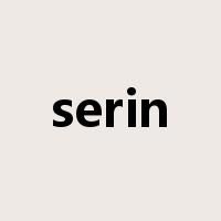 serin是什么意思