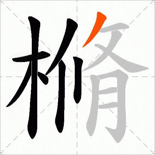 樇