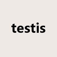 testis是什么意思