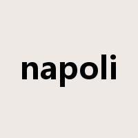 napoli是什么意思