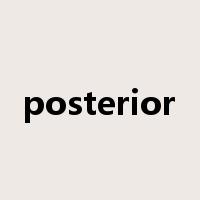 posterior是什么意思