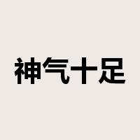 神气十足是什么意思