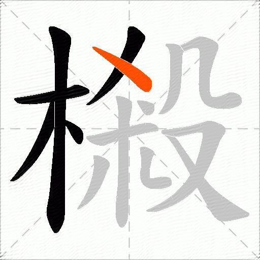 樧