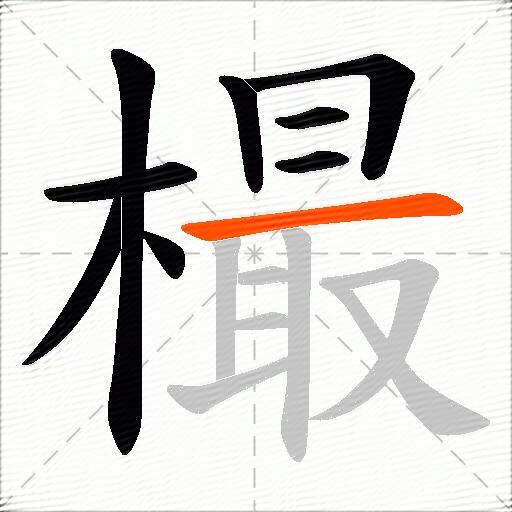 樶