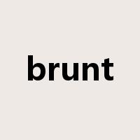 brunt是什么意思
