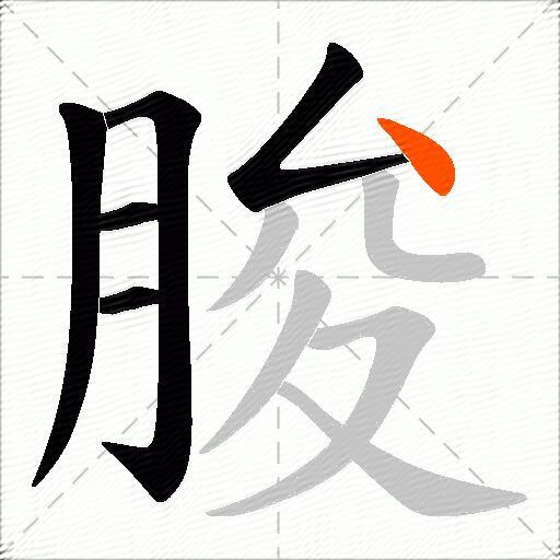 朘