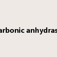 carbonic anhydrase是什么意思