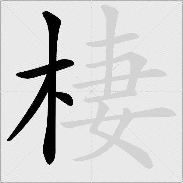 棲