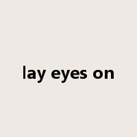 lay eyes on是什么意思
